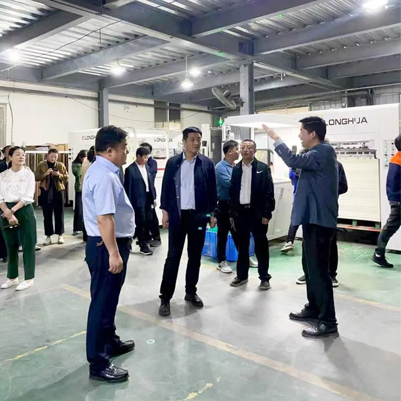 Глава и глава администрации волости Цилиюань города Наньян посетили предприятие Гуаньмин Упаковка для изучения и поддержки (1)